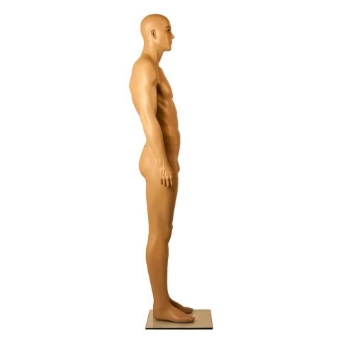 Side View of Male Mannequin